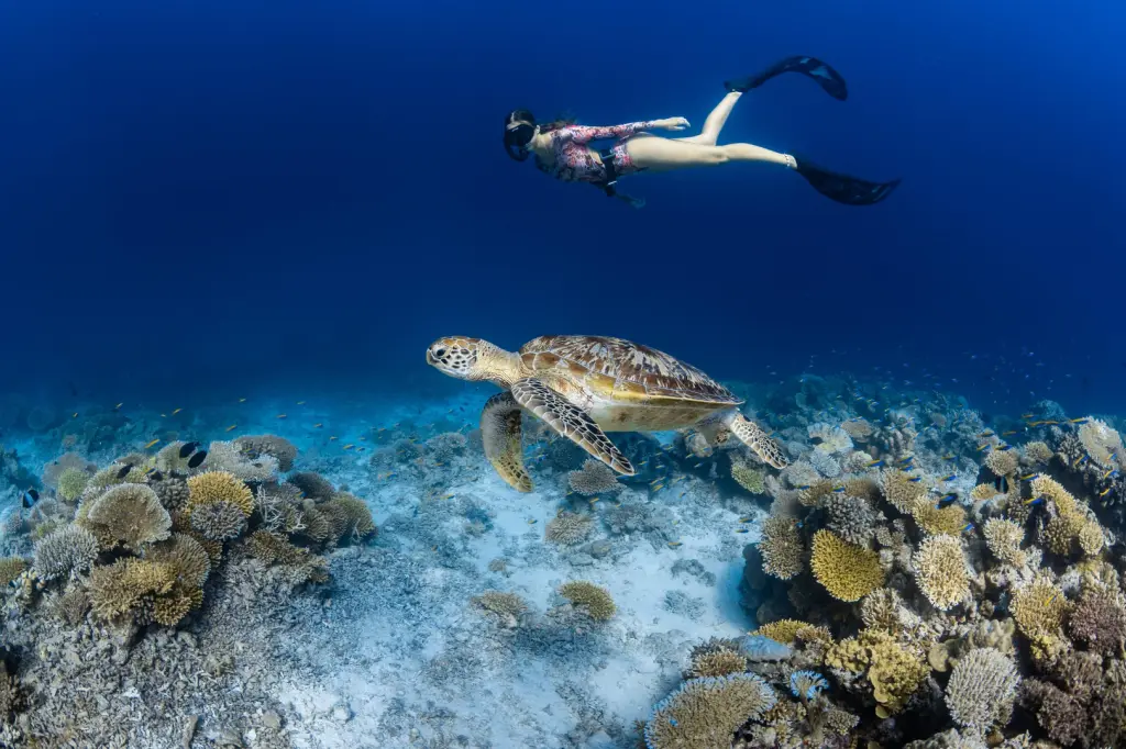 Park Hyatt Maldives Hadahaa image 16