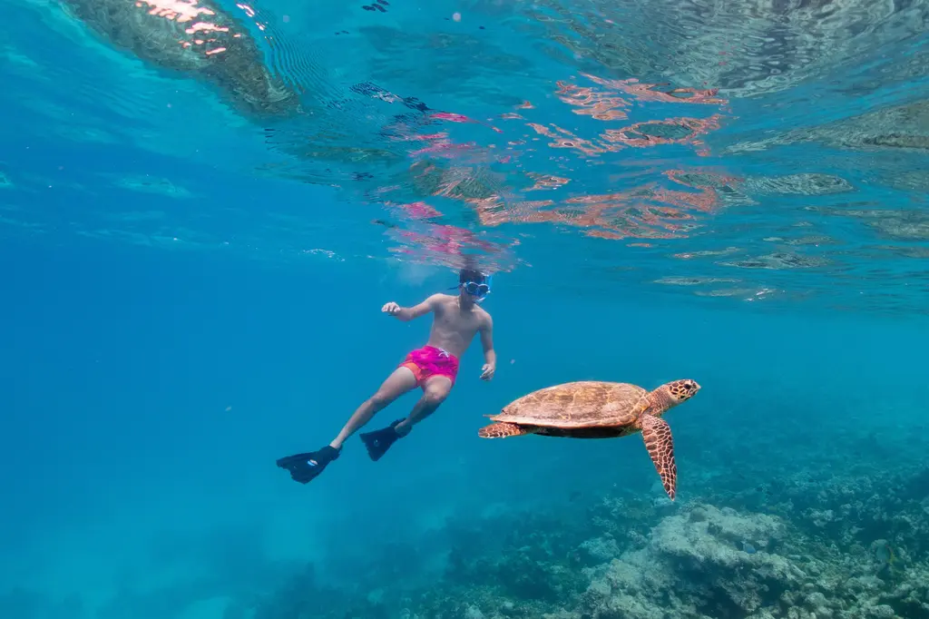Eri Maldives image 16