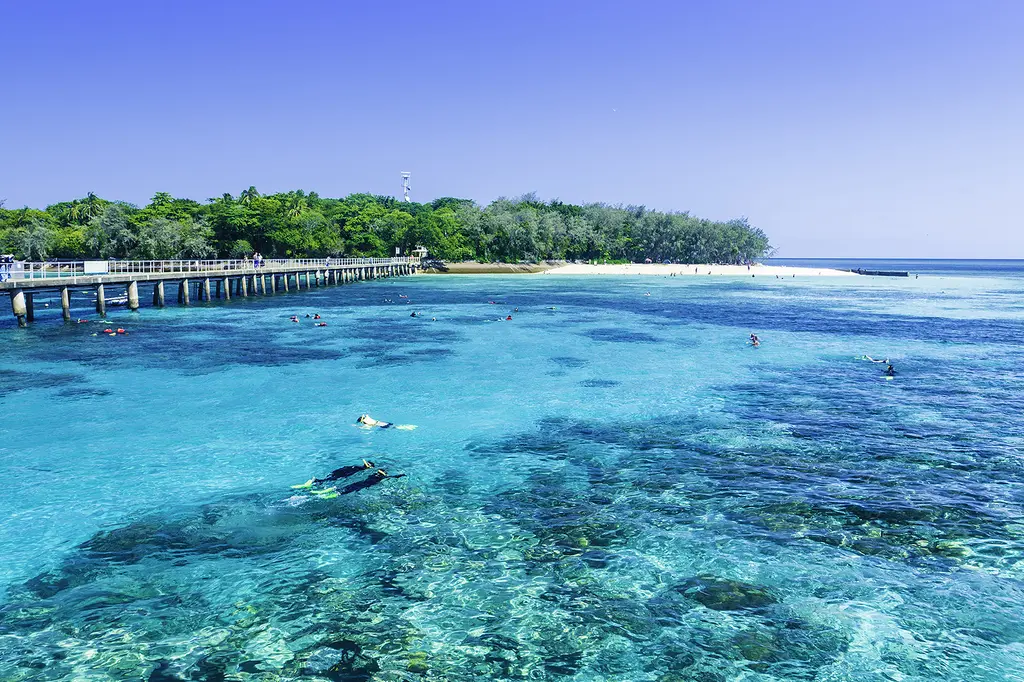 Green Island Resort image 10