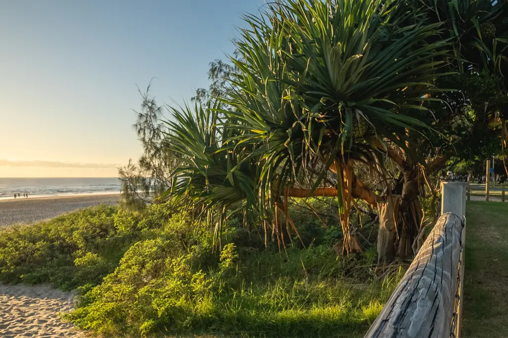 Sandbar Burleigh image 13
