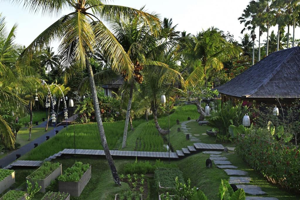 Chapung Sebali Resort image 3