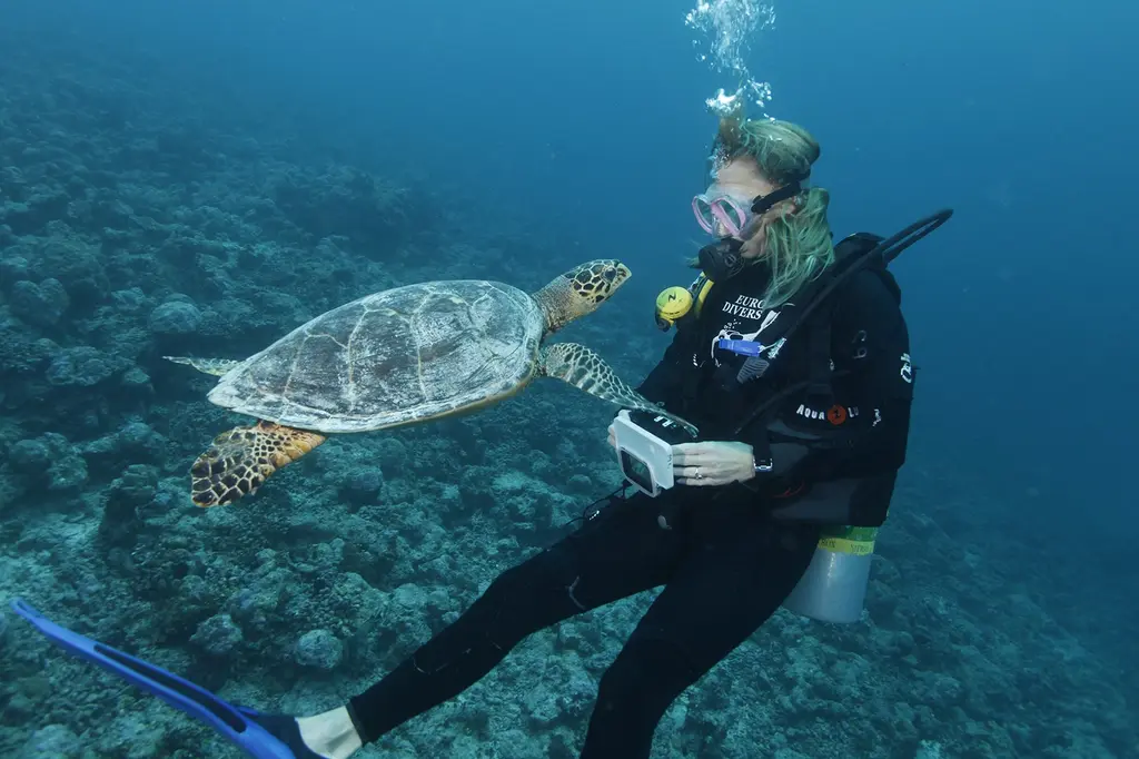 Eri Maldives image 15