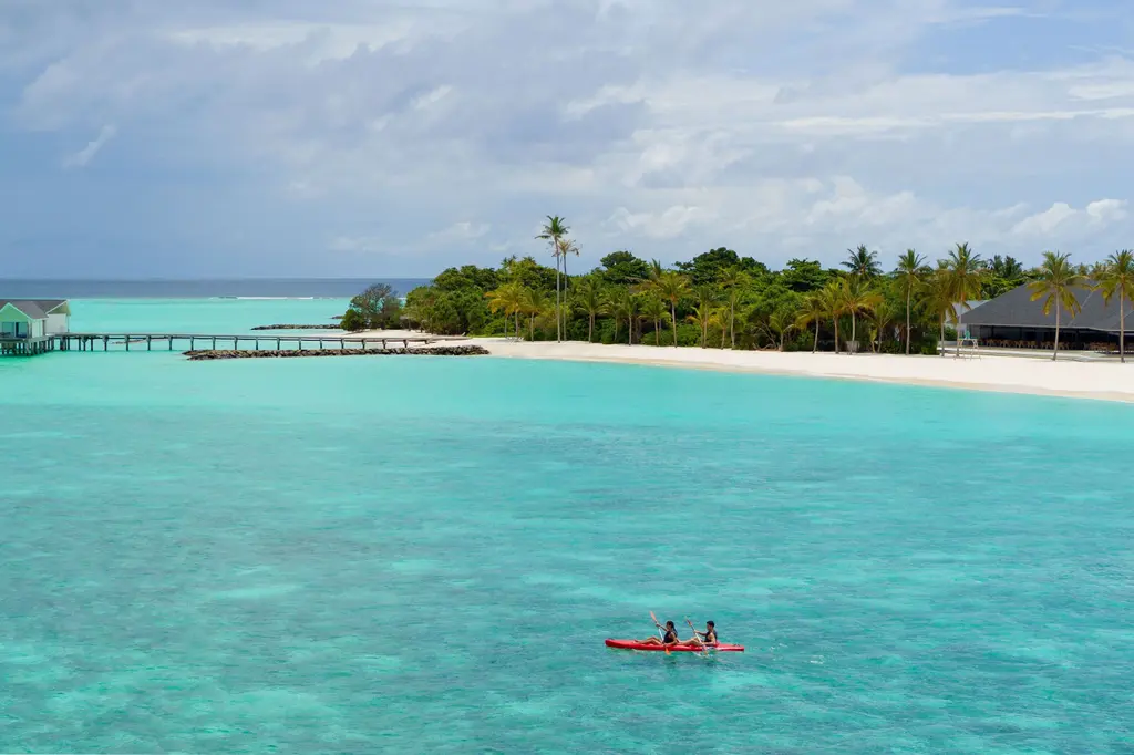 RAAYA by Atmosphere image 19
