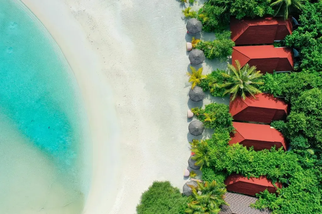 Dhigufaru Island Resort image 12