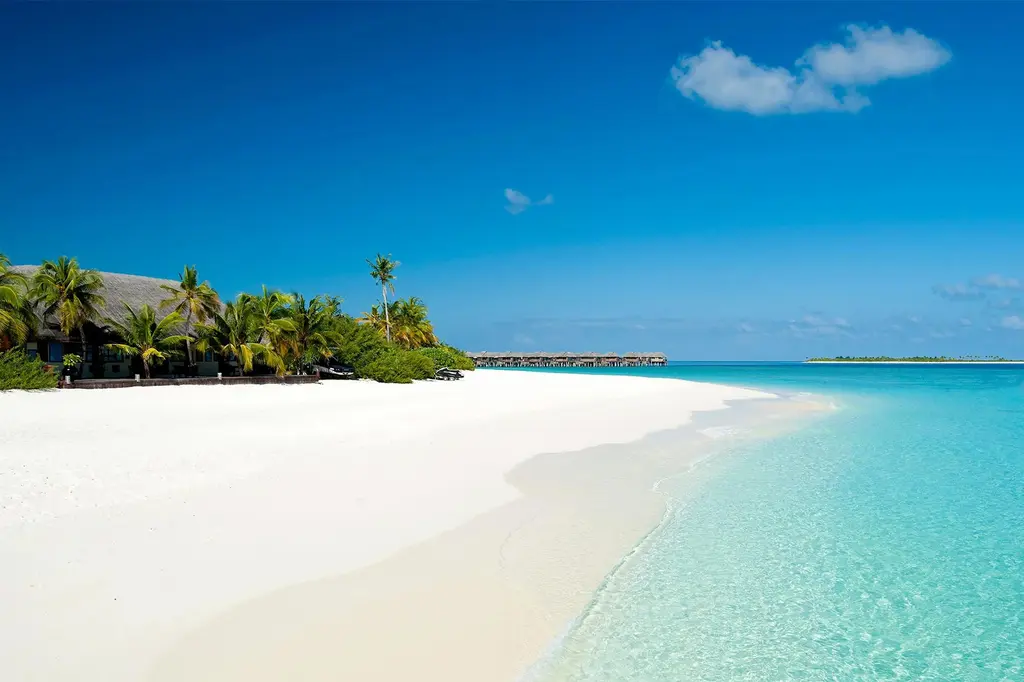 JA Manafaru image 16