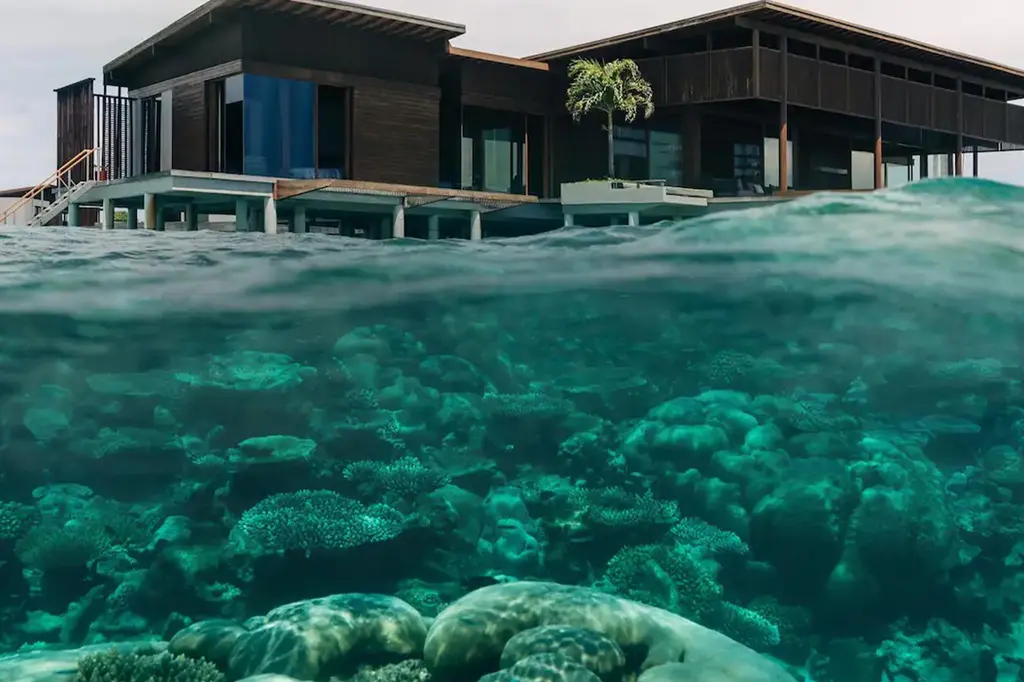 Park Hyatt Maldives Hadahaa image 6