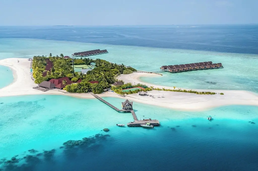 Dhigufaru Island Resort image 4