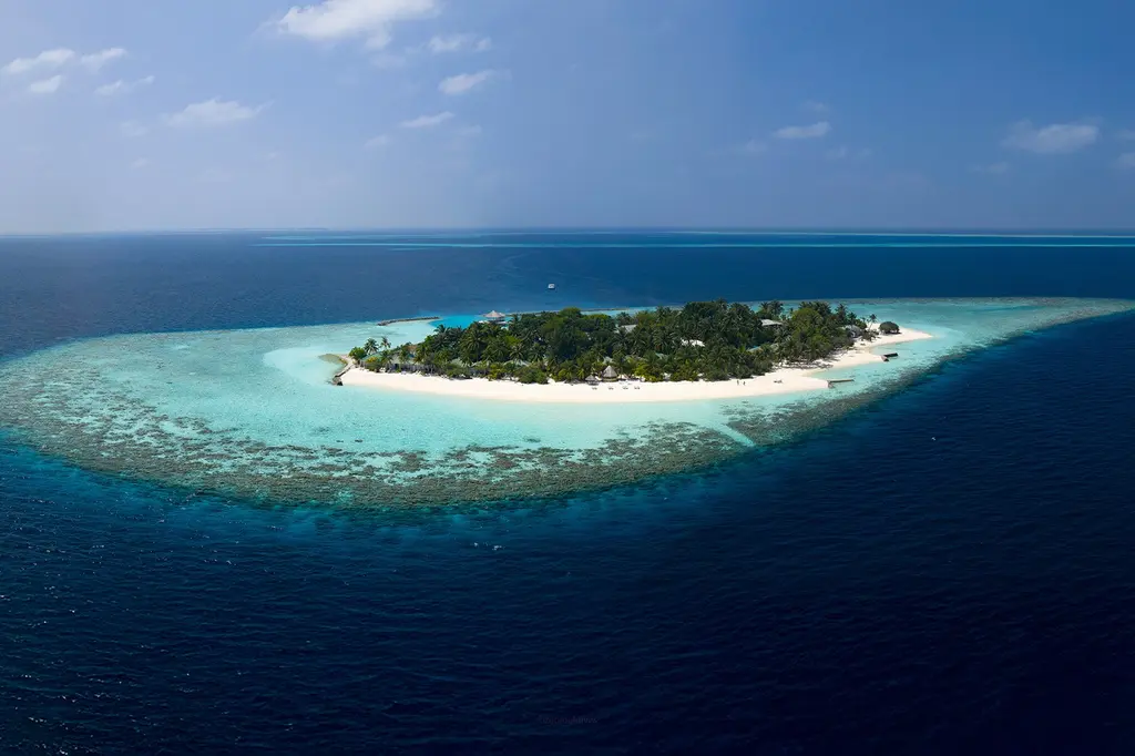 Eri Maldives image 6