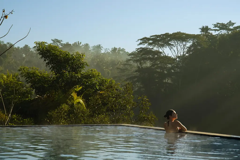 Ayatara Resort Ubud image 6
