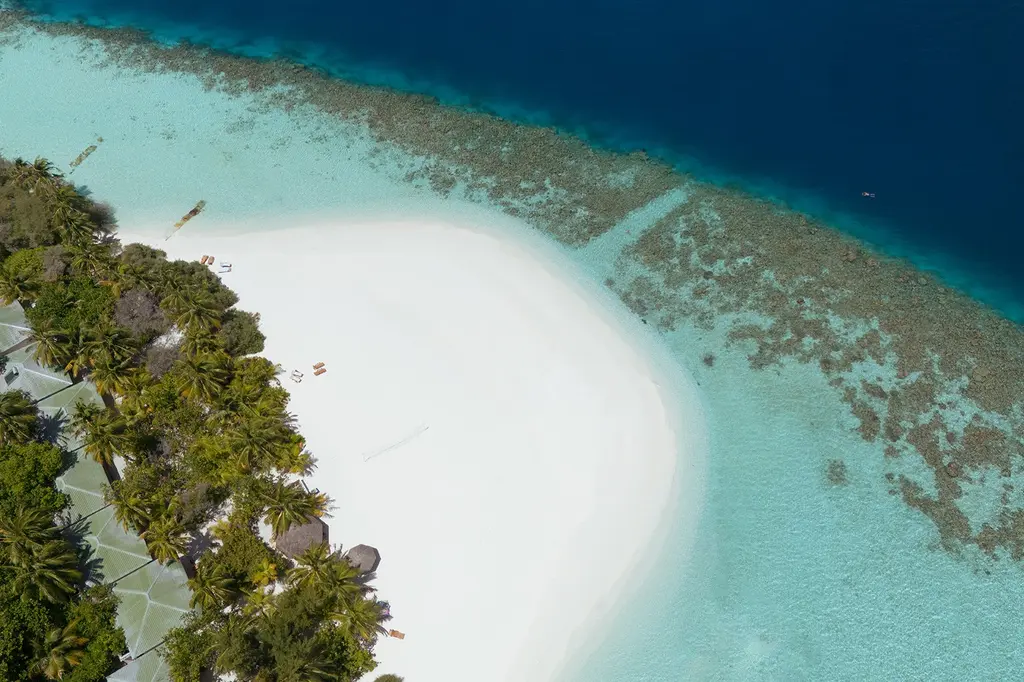 Eri Maldives image 14