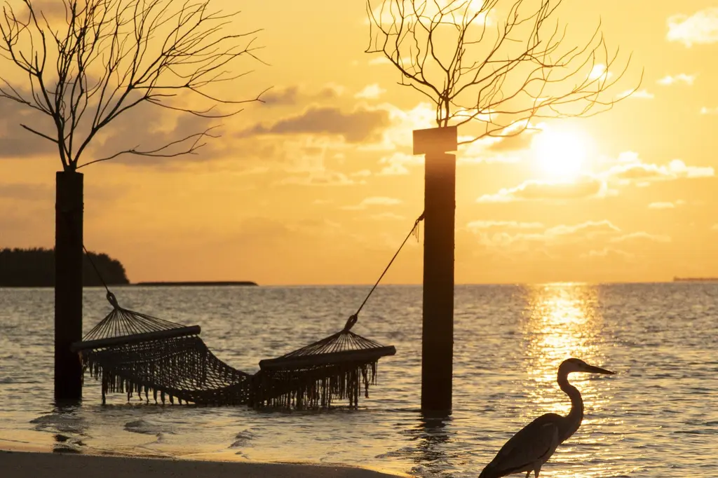 Cocoon Maldives image 8