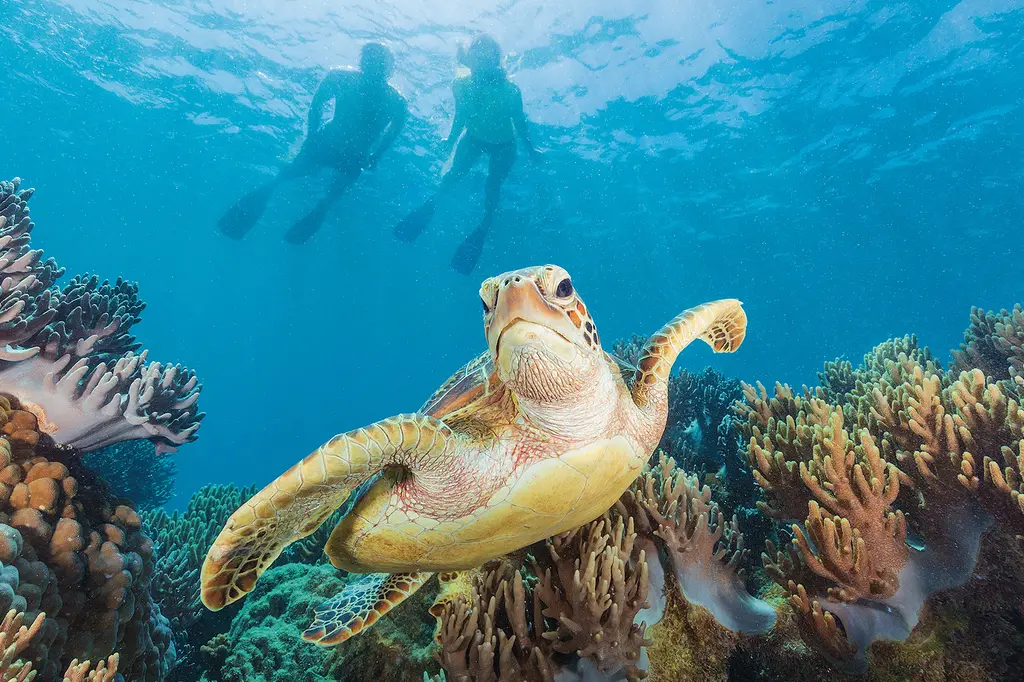 Portland Roads – Sailing the Whitsundays image 4