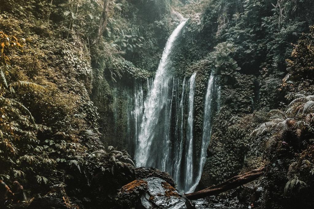 Qunci Villas image 14