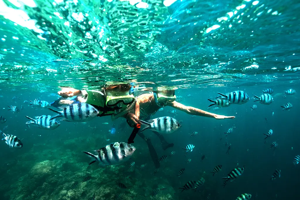 InterContinental Fiji Golf Resort & Spa, an IHG Hotel image 8