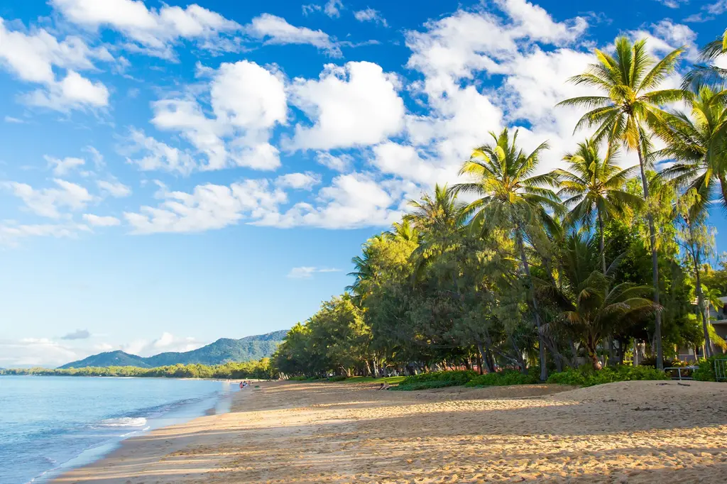 Oasis at Palm Cove image 11