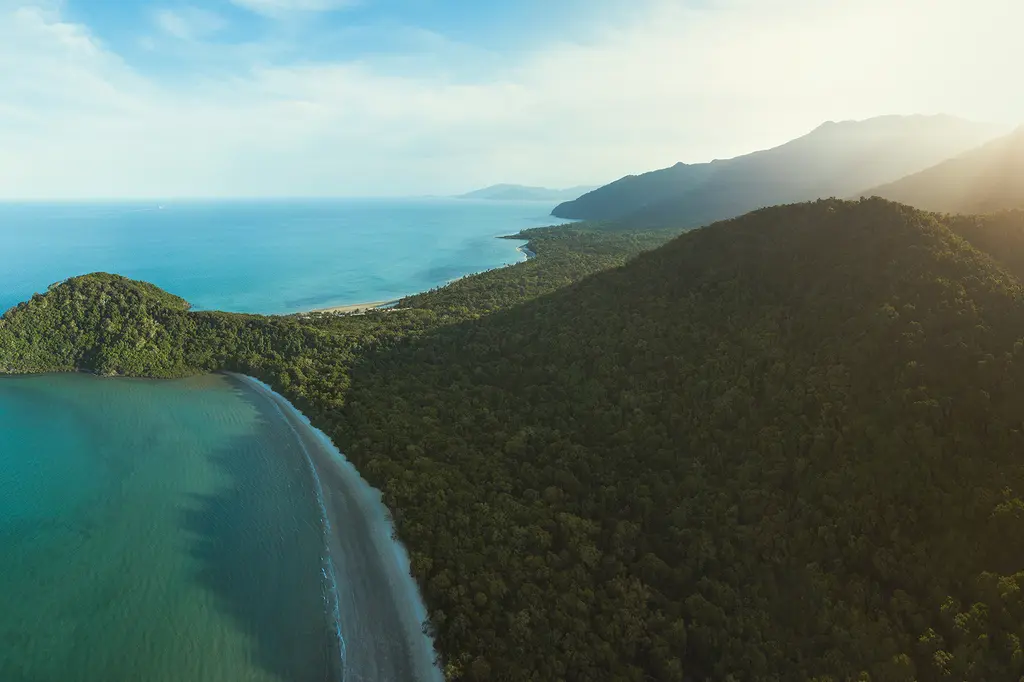 mist at Cape Tribulation image 13