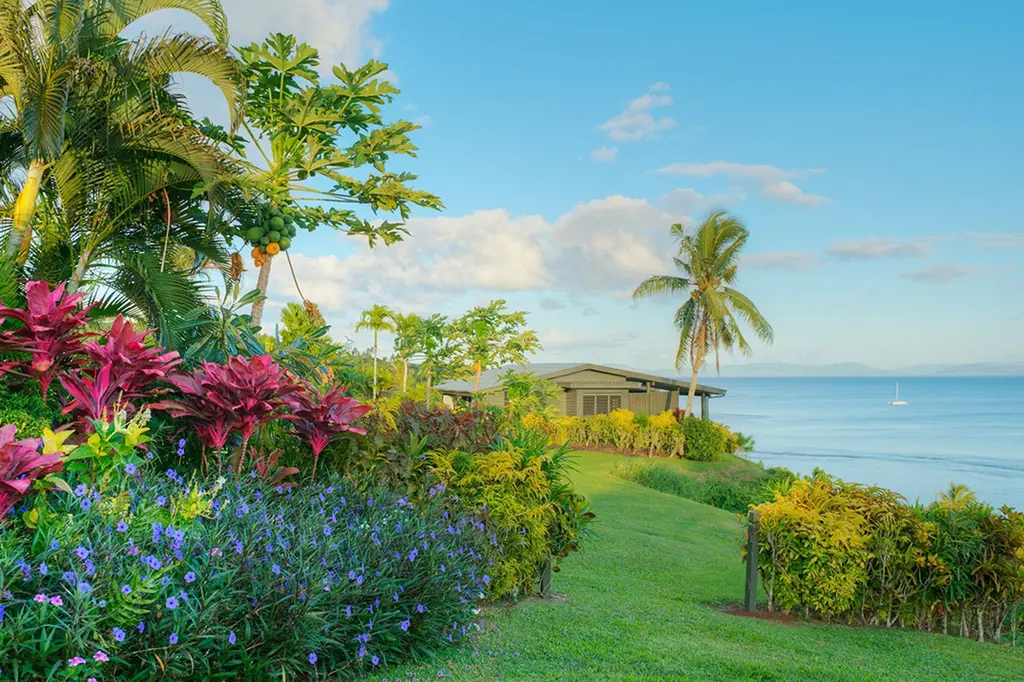 Taveuni Island Resort & Spa image 11