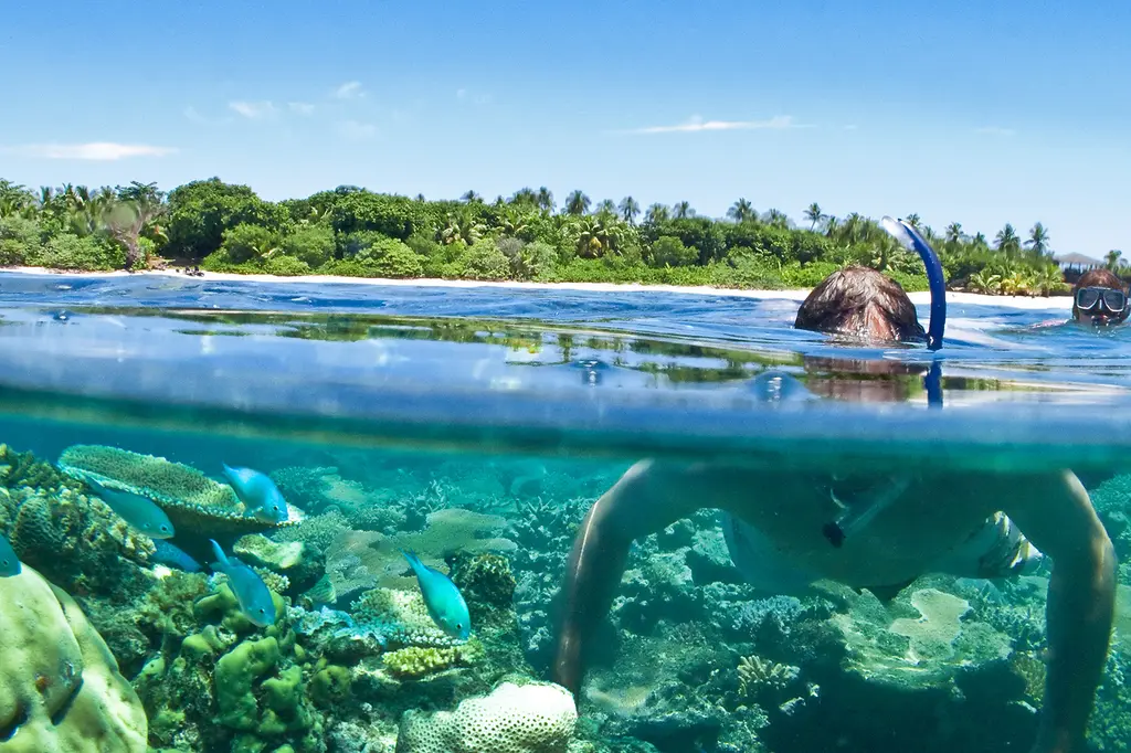 VOMO Island Fiji image 5